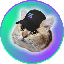 CatSolHat icon